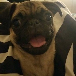 Meet your Posher, Lorna